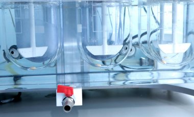 Özerk çözünürlük tester. İnsan mide tablet imitasyon dağılması. Bilimsel araştırma, eczacılık labaratuarı için. Adam tesisinde bilimsel çalışmaları yürütmektedir. Laboratuar araştırmaları eczane. Erveka iş. Otomatik dissol