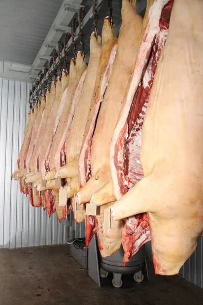 Prepara Salchichas Mesa Trabajo Industria Procesamiento Procesamiento Alimentos Mezcla Carne — Foto de Stock