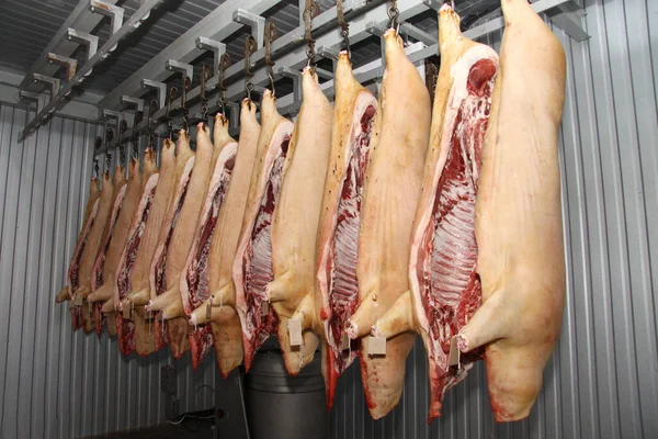 Prepara Salchichas Mesa Trabajo Industria Procesamiento Procesamiento Alimentos Mezcla Carne — Foto de Stock