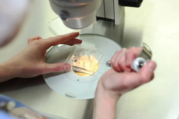 Üreme tıbbı kliniği. Suni döllenme. Yapay gebelik kliniği. Sperm donması. Sıvı nitrojen deposu.
