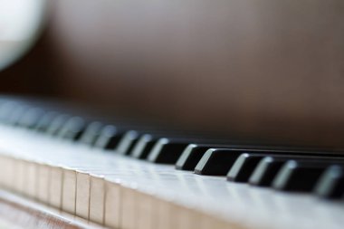 Piyano tuşlarına yakın çekim. Ön görünümü kapat.