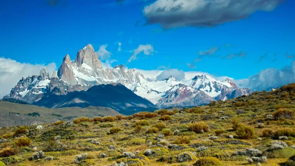 Patagonian field with Fitz Roy mont background — Stock Photo, Image