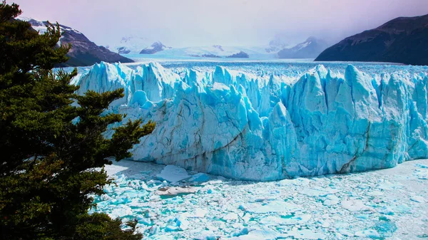 Perito Moreno Buzulu
