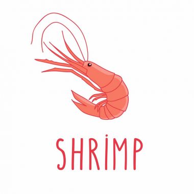 Karides. Sevimli vektör illüstrasyon izole beyaz arka plan üzerinde.