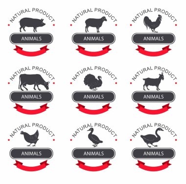 Ayrıntılı kalite vector silhouettes tavuk, horoz, kaz, hindi, ördek, kümesi. etiket şablonlarından çiftlik kuşlar ile. Etiketleri, rozetleri ve tasarım öğeleri kümesi / domuz, sığır eti, kuzu eti, süt