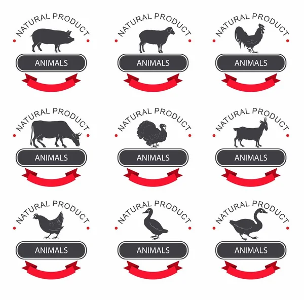 鶏、鶏、ガチョウ、トルコ、アヒルの詳細な品質ベクトル シルエットのセット。農場の鳥のラベル ・ テンプレート。ラベル、バッジおよびデザイン要素のセット/豚肉、牛肉、ラム肉、牛乳 — ストックベクタ