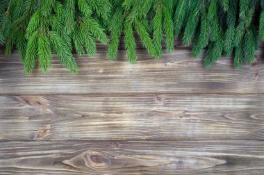 Dalları çam ağaçları bir ağaç arka plan olduğunu. Yeni yıl arka plan. Metin ekleme