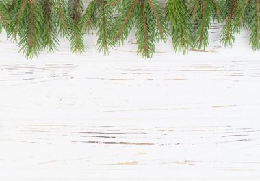 Dalları çam ağaçları bir beyaz ağaç arka plan olduğunu. Yeni yıl arka plan. Metin ekleme