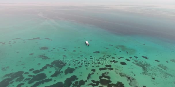 这艘船航行在红海的埃及。从空中拍摄 — 图库视频影像