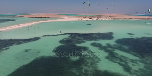 Kitesurfing στην Αίγυπτο στη θάλασσα το καλοκαίρι. Πολλούς surfers να μάθουν να οδηγούν, λαμβάνει εναέρια 4k βίντεο — Αρχείο Βίντεο