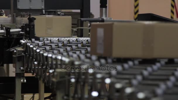 Conveyor belt in a logistics warehouse. Pre-packing of goods — Stock Video