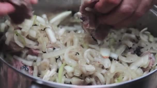 그릴에 자연에 돼지고기 시 케밥 — 비디오