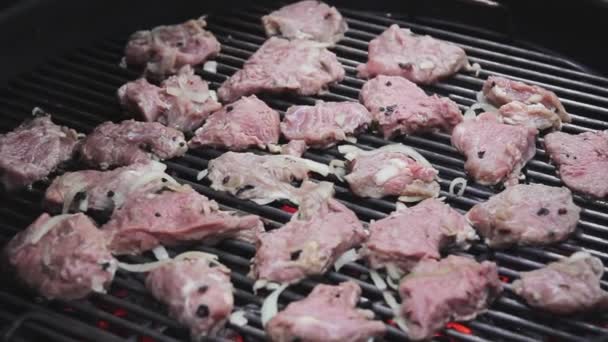 Shish de cerdo kebab en la naturaleza en la parrilla. Los hombres ponen la carne — Vídeos de Stock