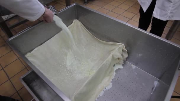 Ostproduktion. Stöpning arbetsstycket genom cheesecloth — Stockvideo