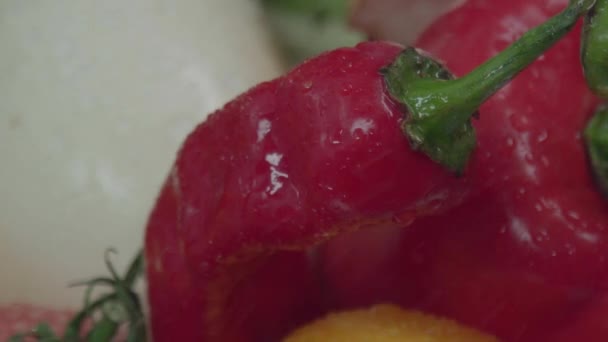 Fröccsenő víz esik le a friss paprika. — Stock videók