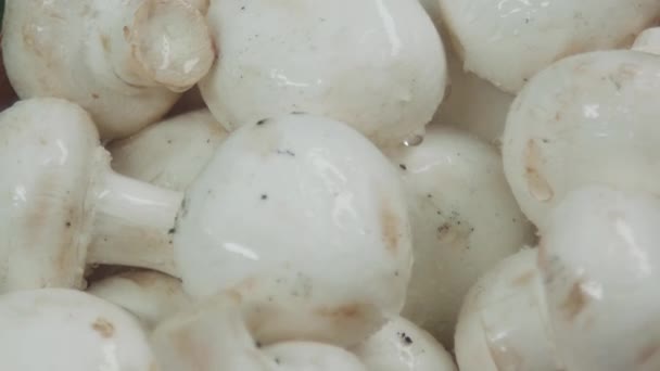 Champignon cogumelo cai na cesta cheia de outros cogumelos lavados com gotas de água sobre ele . — Vídeo de Stock