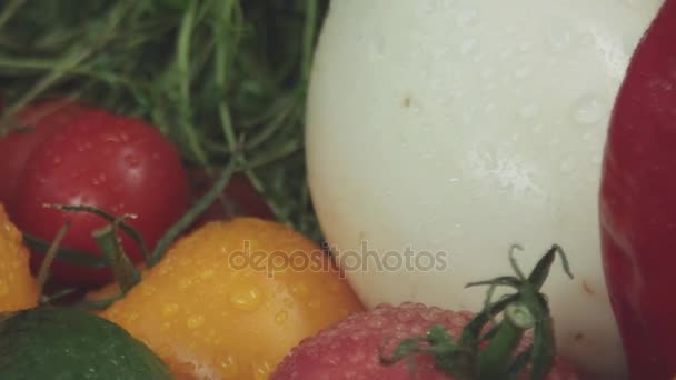 新鲜的蔬菜，不同颜色的长满了水珠 — 图库视频影像