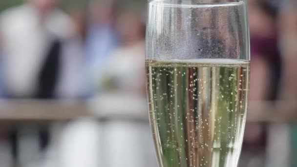 Glas med en champagnee närbild — Stockvideo