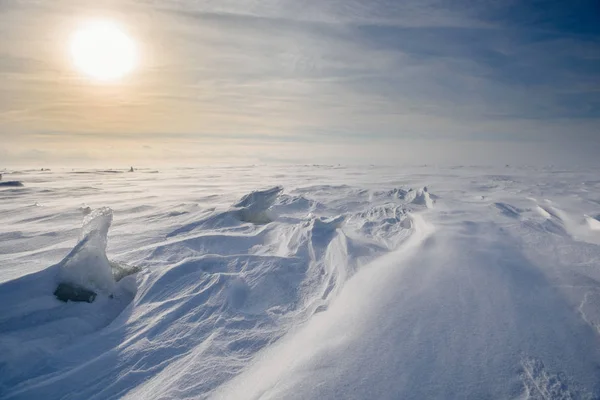 Paesaggio ghiacciato senza confini durante — Foto Stock