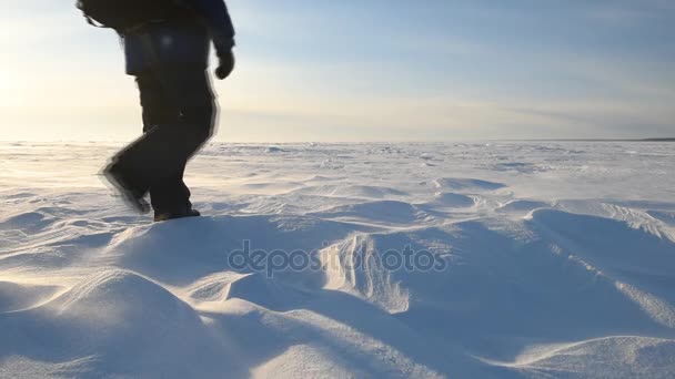 Un homme marche à travers une tempête de neige dans le désert enneigé — Video