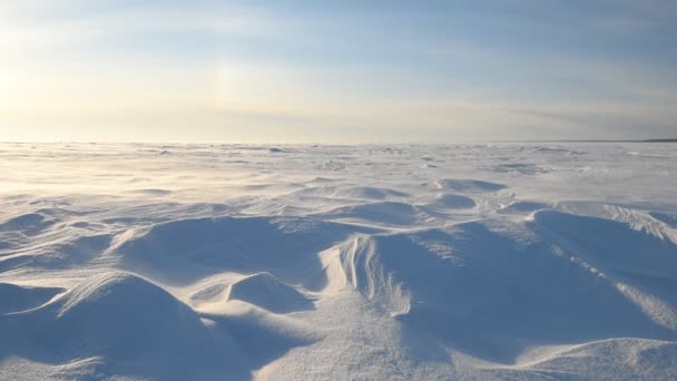 Gränslös isiga landskapet under en snöstorm — Stockvideo