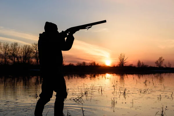 Hunter i solnedgången. — Stockfoto