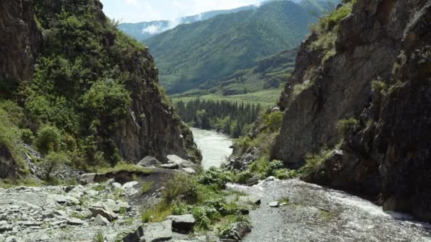 Ein Gebirgsbach fließt in die Berge — Stockvideo