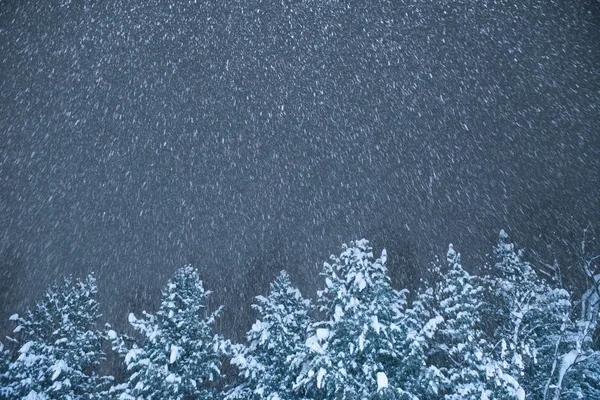 Obfite Opady Śniegu Nocy Płatki Śniegu Spin Wietrze Tle Rosną — Zdjęcie stockowe