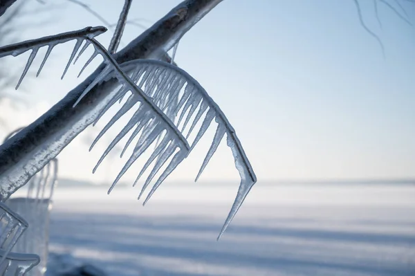 Primera Encuentra Guijarros Orilla Comienzo Del Invierno — Foto de Stock