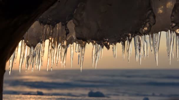Eiszapfen Ufer Eines Zugefrorenen Sees Bei Sonnenuntergang — Stockvideo