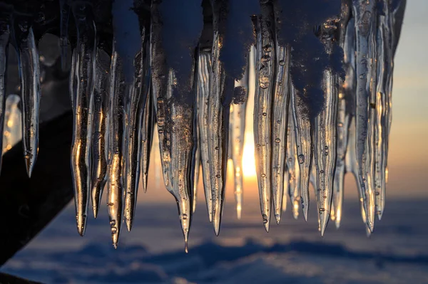 Gün Batımında Donmuş Bir Gölün Kıyısında Buz Saçakları — Stok fotoğraf