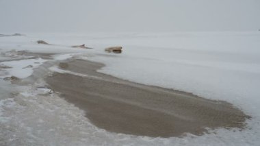 Kar fırtınası, deniz kıyısı, güçlü rüzgar kar tanelerini taşır.