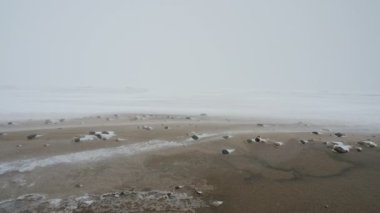 Kar fırtınası, deniz kıyısı, güçlü rüzgar kar tanelerini taşır.
