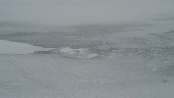 Schneesturm Auf Der Eisfläche Des Gefrorenen Meeres — Stockvideo