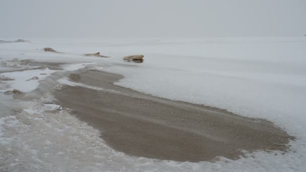 Nieve Ventisca Orilla Del Mar Fuerte Viento Lleva Copos Nieve — Vídeos de Stock