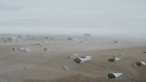 Schneesturm Küste Starker Wind Trägt Schneeflocken — Stockvideo