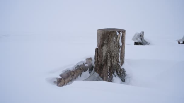 Nieve Ventisca Orilla Del Mar Fuerte Viento Lleva Copos Nieve — Vídeos de Stock