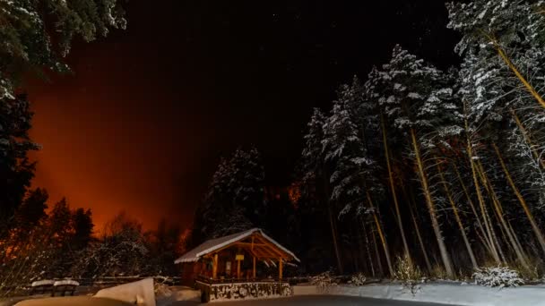 Cabane Dans Les Bois Par Une Nuit Noël Hiver Des — Video