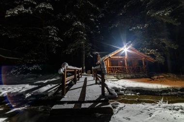 Bir Noel gecesinde, ormanda bir kulübe..