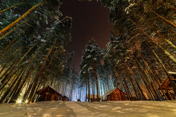 Hut Woods Winter Christmas Night — Stock Photo, Image