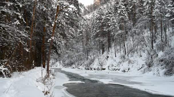 Río Montaña Fluye Valle Entre Bosque Hielo Congelado Las Orillas — Vídeos de Stock