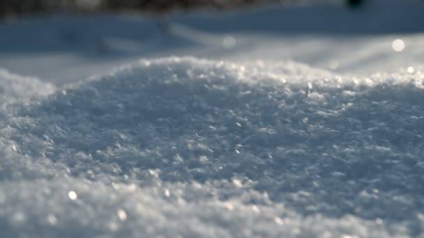 雪花在降雪时的特写 — 图库视频影像