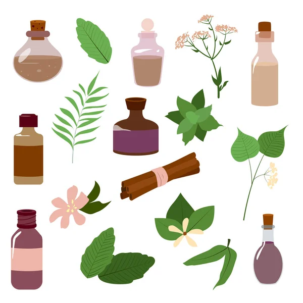 Набір ароматичної олії та квітів — стоковий вектор