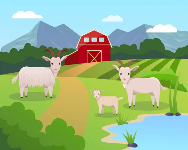 Vektor Illustrationen Der Ziegenfamilie Isoliert Auf Weißem Hintergrund Cartoon Stil — Stockvektor