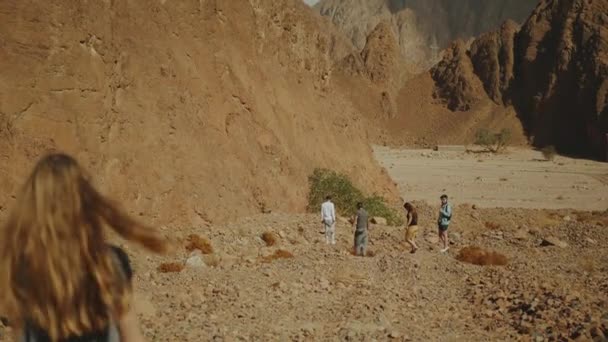 Grupo de caminatas turísticas a lo largo del cañón de roca en el desierto caliente. Fondo de rocas del desierto, Egipto, Sinaí, cámara lenta, 4k — Vídeo de stock