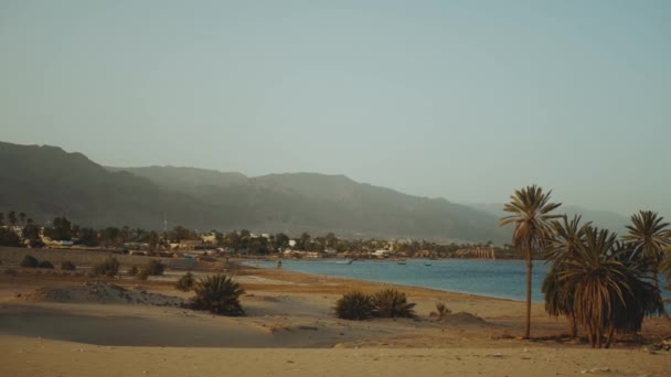 Panoramiczny widok na piaszczystą plażę i błękitne morze Egiptu, zwolnione tempo. Palmy na plaży w pobliżu morza. — Wideo stockowe