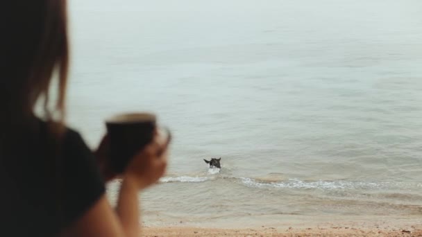 一个女人早上在有蓝色海景的阳台上喝咖啡或喝茶，狗在海里玩耍，快速录像，慢动作，4k — 图库视频影像