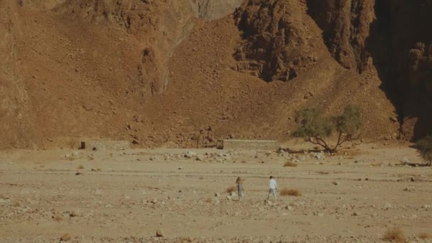 Eine Touristengruppe wandert entlang der Felsschlucht in der heißen Wüste. Wüstenschlucht Hintergrund, Ägypten, Sinai, Zeitlupe, 4k — Stockvideo