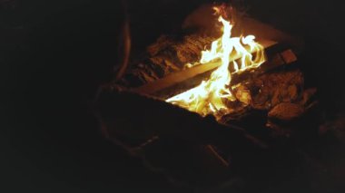 Bir grup arkadaş, gece deniz kenarındaki kumsalda kamp ateşinin yanında eğleniyorlar. Kamp ateşi, hızlı çekim, ağır çekim, 4k.