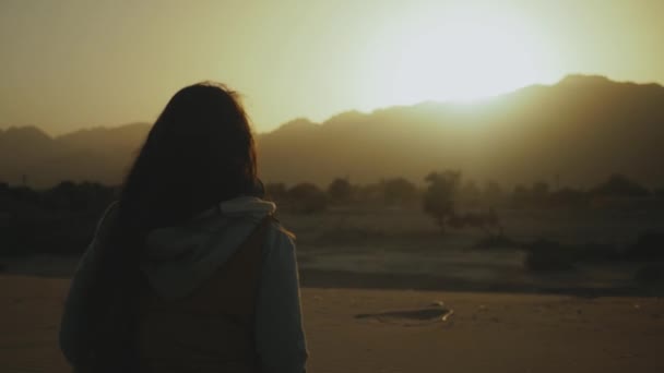 Silhueta de bela jovem caminhada ao pôr-do-sol no deserto. Feminino atravessando o deserto, dunas, close-up, câmera lenta, 4k — Vídeo de Stock